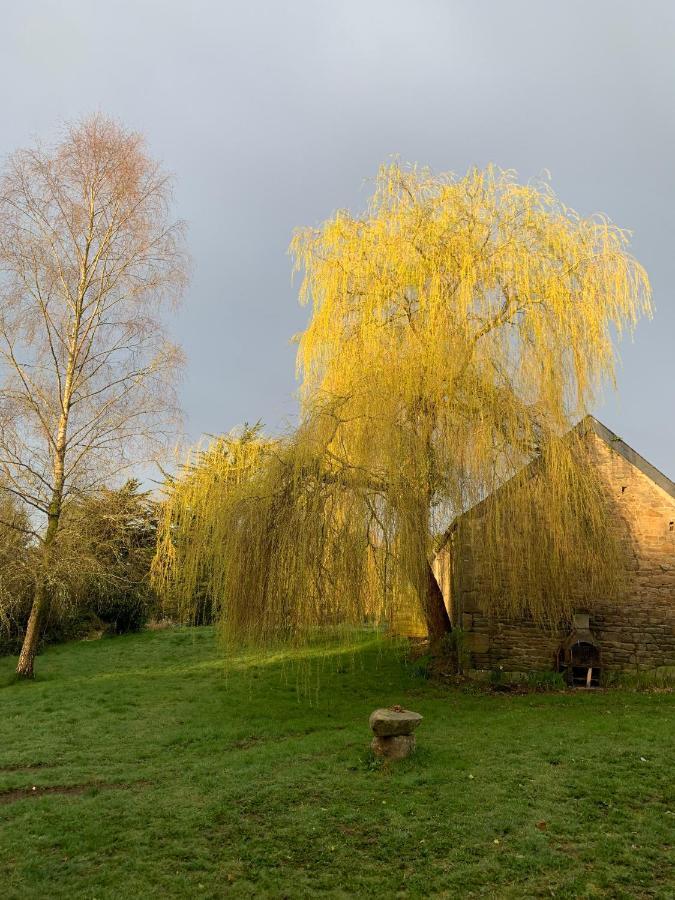 Domaine De La Blanche Hermine Plounerin Buitenkant foto