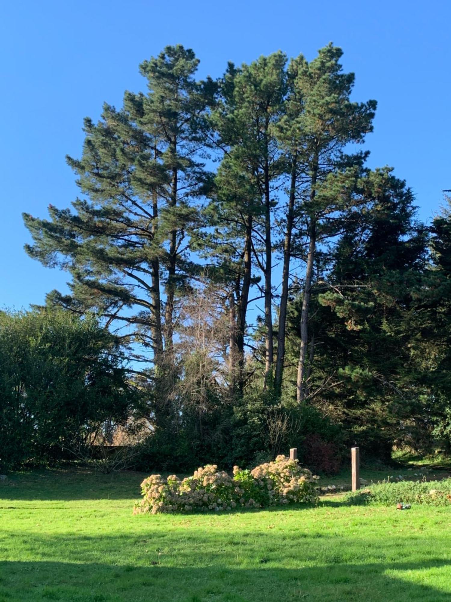 Domaine De La Blanche Hermine Plounerin Buitenkant foto